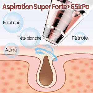 Aspirateur de Point Noirs, Extracteur de Comédons Nettoyant de Pores Rechargeable Appareil de Beauté du Visage Avec écran LED, 4 Sondes et 3 Modes (White-111W)